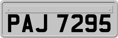 PAJ7295
