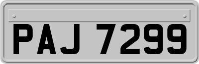 PAJ7299