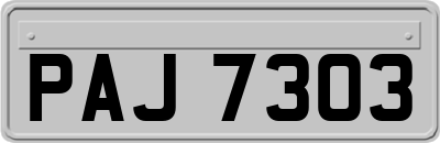 PAJ7303