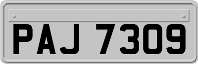 PAJ7309