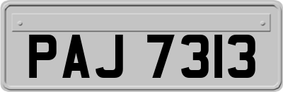 PAJ7313