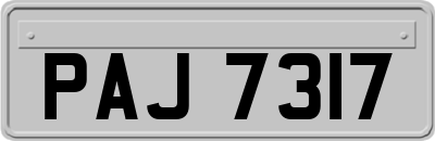 PAJ7317