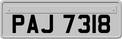 PAJ7318