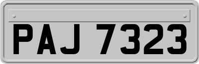 PAJ7323