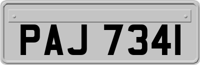 PAJ7341