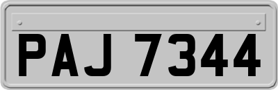 PAJ7344
