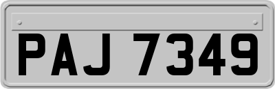PAJ7349