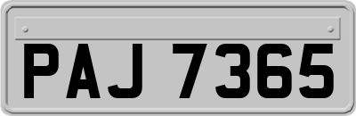 PAJ7365