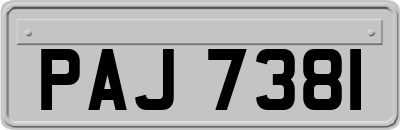 PAJ7381