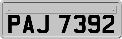 PAJ7392