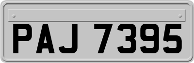 PAJ7395