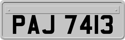 PAJ7413