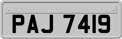 PAJ7419
