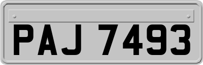 PAJ7493