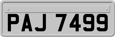 PAJ7499