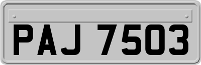 PAJ7503