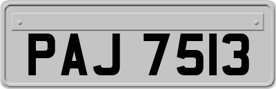 PAJ7513
