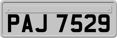 PAJ7529