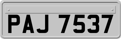 PAJ7537
