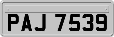 PAJ7539