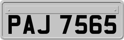 PAJ7565