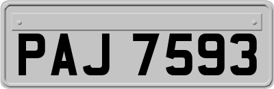 PAJ7593