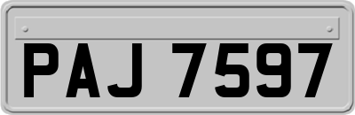 PAJ7597