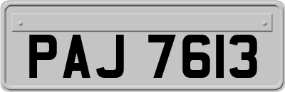 PAJ7613