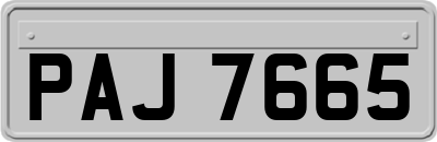 PAJ7665