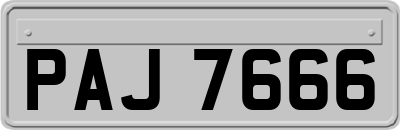 PAJ7666