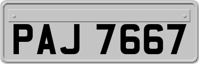 PAJ7667