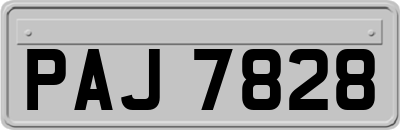 PAJ7828