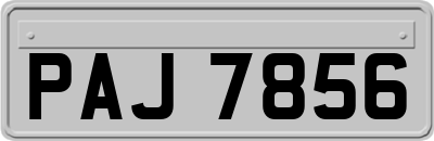 PAJ7856