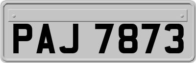 PAJ7873
