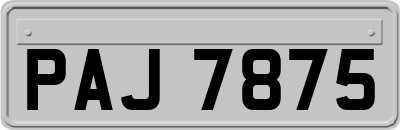 PAJ7875
