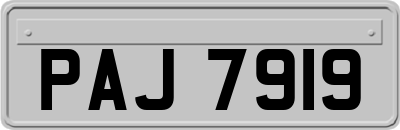PAJ7919
