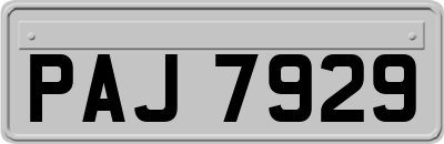 PAJ7929