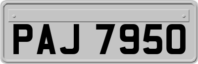 PAJ7950