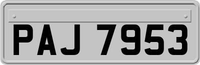 PAJ7953