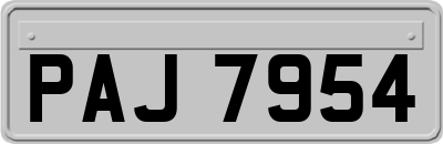 PAJ7954
