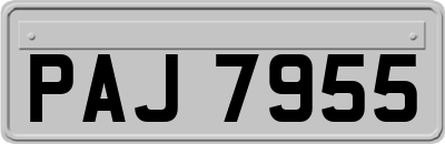 PAJ7955