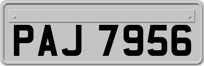 PAJ7956
