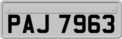 PAJ7963