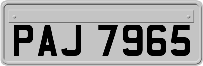 PAJ7965