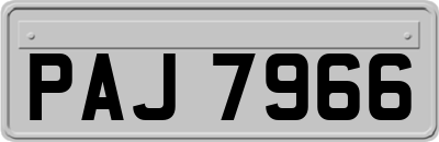 PAJ7966