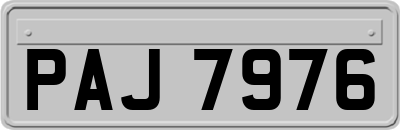 PAJ7976