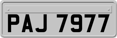 PAJ7977