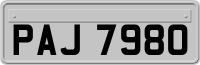 PAJ7980