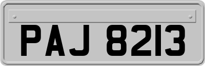 PAJ8213