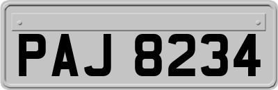 PAJ8234